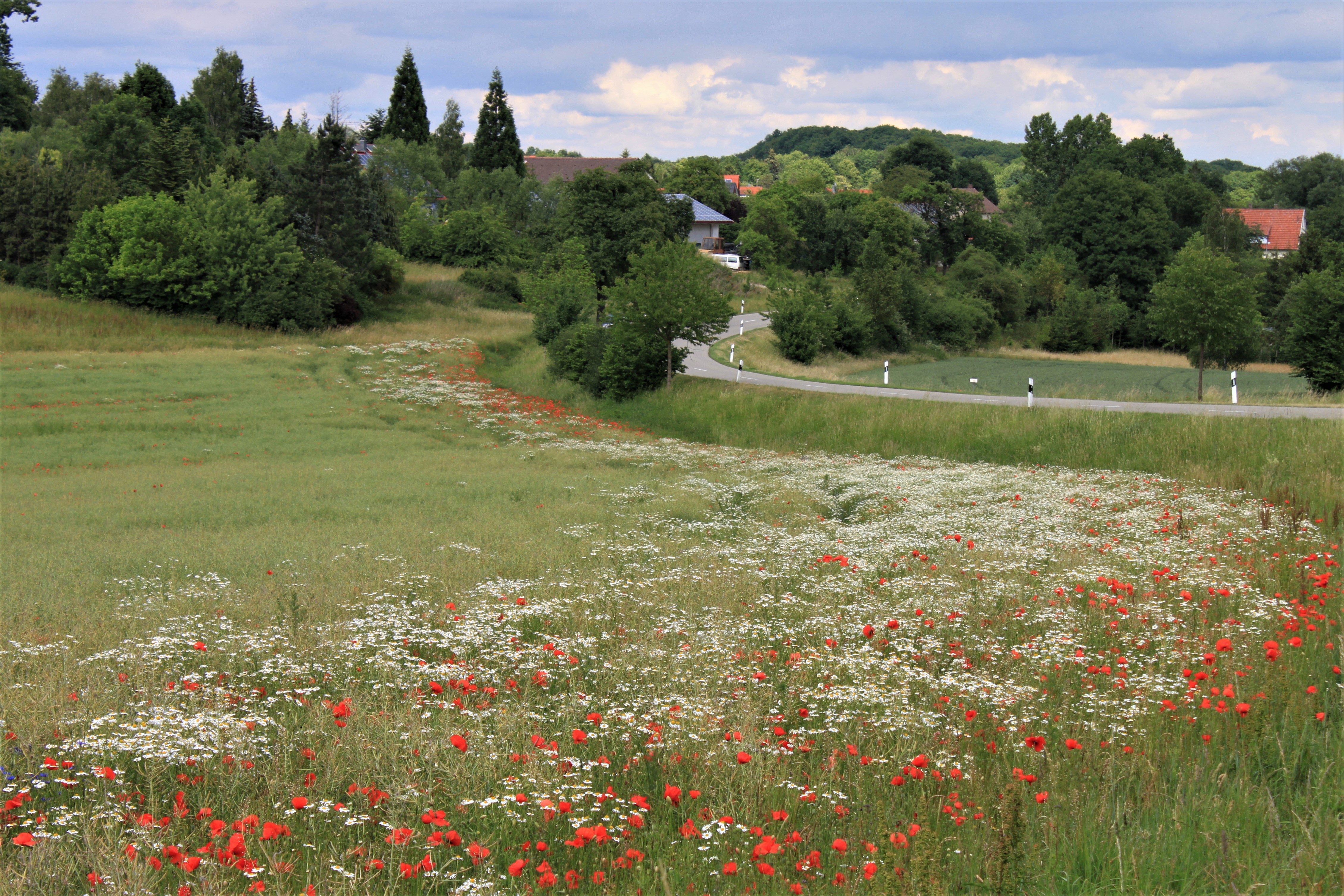 Strasse-Ortszugang (2).jpg